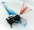 Researchers Understand Evolution of Flight While Working on Robotic Bug