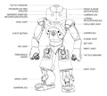 Aldebaran Robotics Introduces Fully Programmable NAO Humanoid Robot