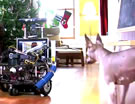 A Robotic Dog Sitter