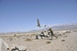 AeroVironment to Deliver Puma AE Small Unmanned Aircraft Systems to the U.S. Air Force
