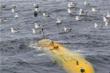 Two Projects Proposed for Robot Submarine Research