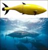 Homeland Security Supports Development of Battery-Powered Robotic Tuna