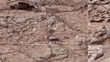 NASA's Curiosity Mars Rover Prepares to Drill into Rock