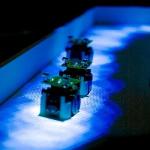 Scientists Replicate Behaviour of Ants with Miniature Robots