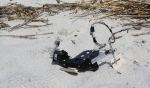 Researchers Build Sea Turtle-Inspired Robot, Flipperbot