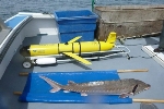 Satellites and Underwater Robots Track Atlantic Sturgeons