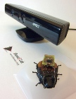 Researchers Remotely Control Roaches on Autopilot Using Video Game Technology