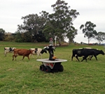 Professor Salah Sukkarieh States Robotics Can Benefit Australian Agricultural Industry