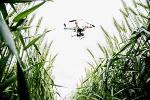 Drone Photography Offers an Easy Way to Check on Progress of Crops
