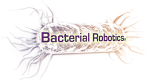 Bacterial Robotics Receives SBIR Phase IB Award from NSF