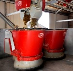 Lely Reports Successful Automated Feeding System for Dairy and Beef Farms