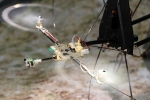 Tethered Aerial Robot Flies Over Uneven Terrain