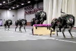 MIT Robotic Cheetah Runs and Jumps Over Obstacles Autonomously