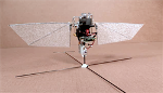 Texas A&M Robotic Hummingbird Featured in IEEE Spectrum