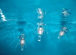 ACHEMA 2015: Festo to Showcase Autonomous, Swimming Jellyfish and Floating eMotionSpheres