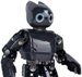 Anthropomorphic Robot for Education