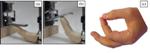 Robotic Finger Mimics Motions of Human Finger