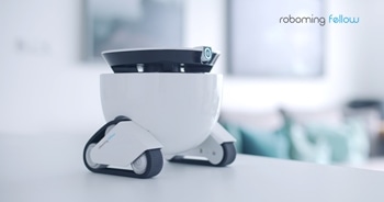 Roboming Fellow: A Personal Robot for Companionship, Home Security