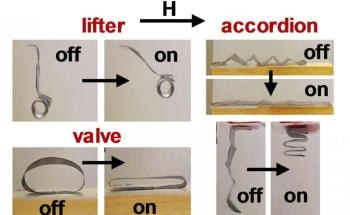 Researchers Successfully Manipulate Soft Robots Using Magnetic Fields