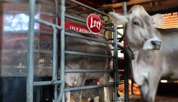 Vortex Provides High-Performance Real-Time Data Connectivity Solution for Lely's Automated Milking System