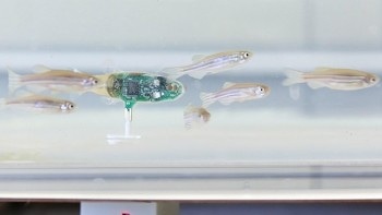 EPFL Researchers Develop Miniature Robotic Spy