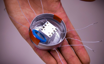 Engineers Develop a New Way to Design, Fabricate, and Actuate Microbots
