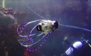 New Soft Underwater Squidbot Propels Itself by Generating Jets of Water