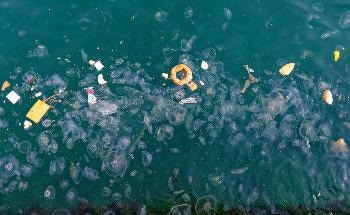 How AI can Help in Detecting Marine Litter