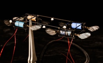 Insect-Scale Robot Powered By Electroluminescent Dielectric Elastomer Actuators