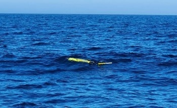 Underwater Robots Used to Track the Environmental Impact of Gas Leak