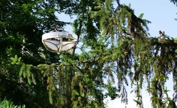 New Flying Device to Land on Tree Branches to Take DNA Samples