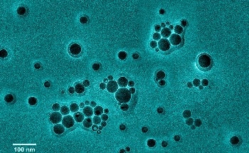 New Test Uses AI to Accurately Identify Respiratory Viruses Within Five Minutes