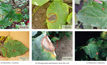 An AI-Powered Solution for Accurately Diagnosing Tomato Leaf Diseases