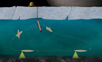 Tiny Robotic Submarine to Probe Hidden Oceanic Ecosystems