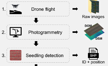 Automated Drones Help Optimize Agricultural Yeild