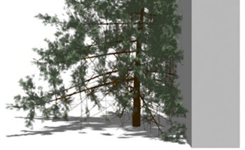 Transformer-Based Tree Generator Simulates Tree Growth and Shape
